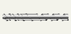 Fusion™ II Screws